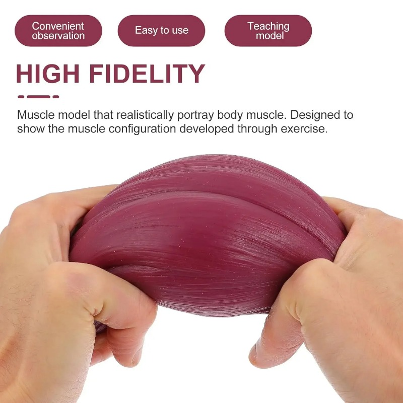 1-pound Human Muscle and Fat R - Nutrition Of Fitness 评论和价格
